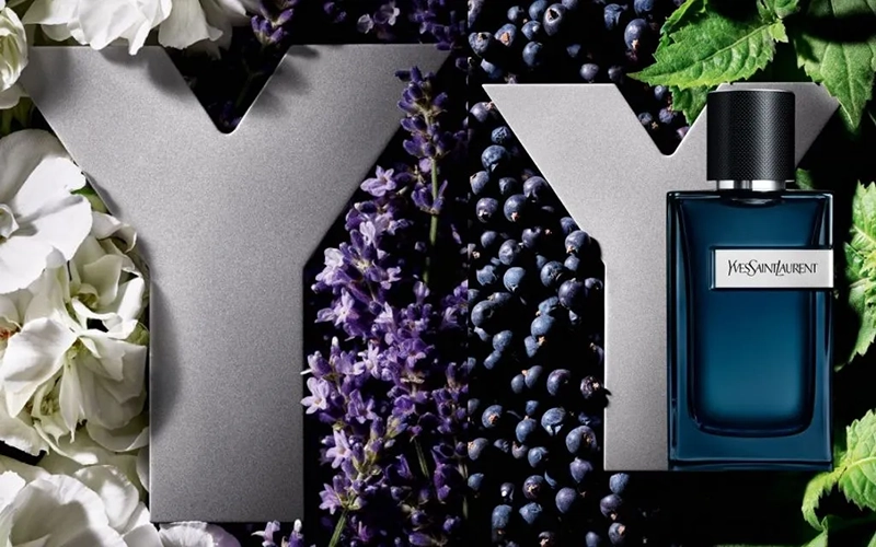 YSL Y 系列香水